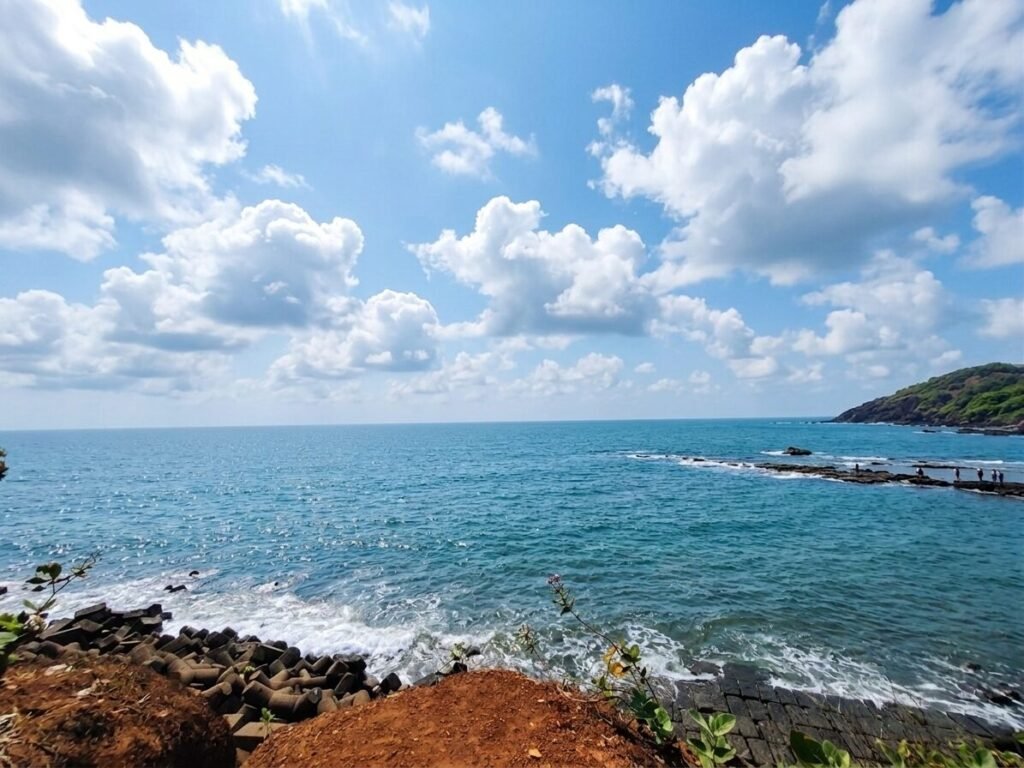 Anjuna 3 bhk (5)