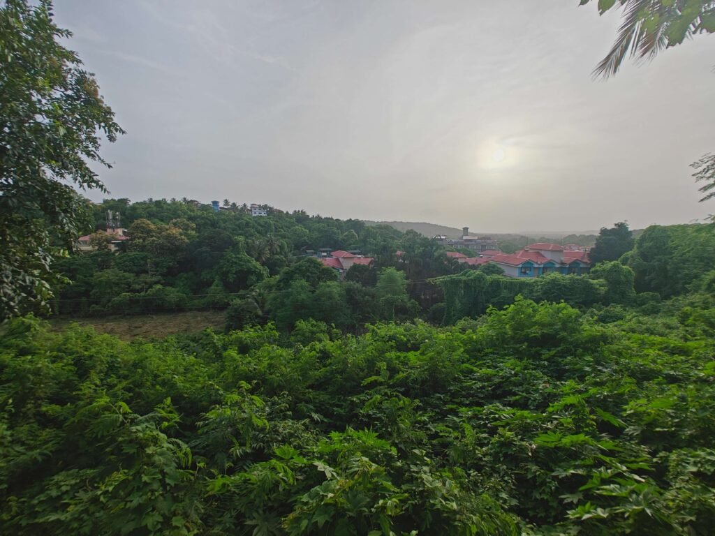 8 bhk Private Pool in Sangolda (34)